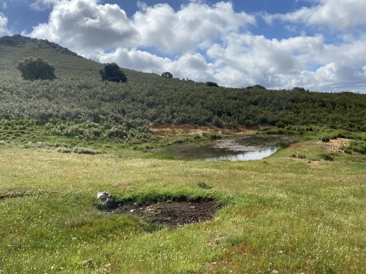 Terreno en venta en Deleitosa