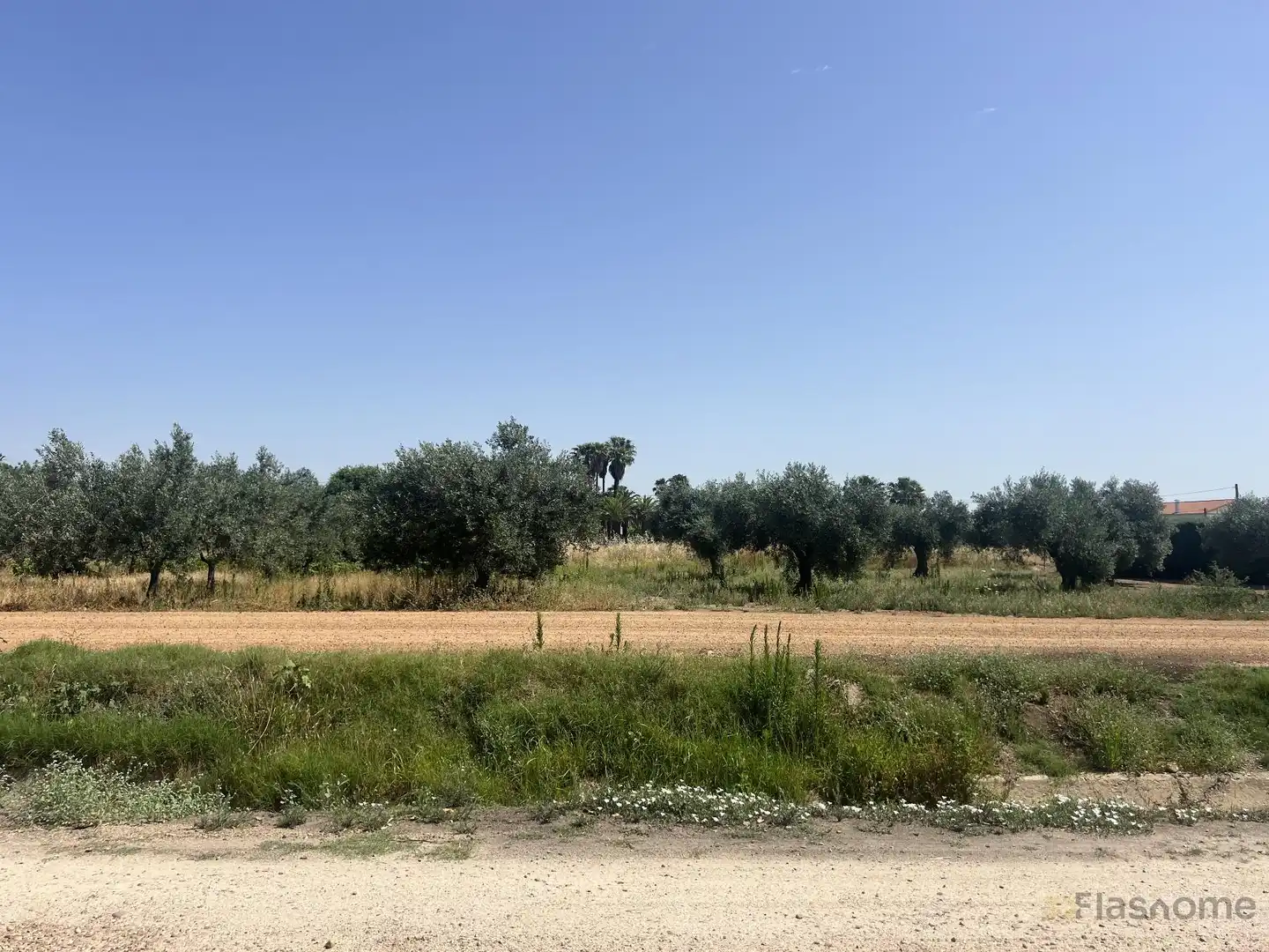 Casa o chalet en venta en Santa Amalia con Terraza y Piscina