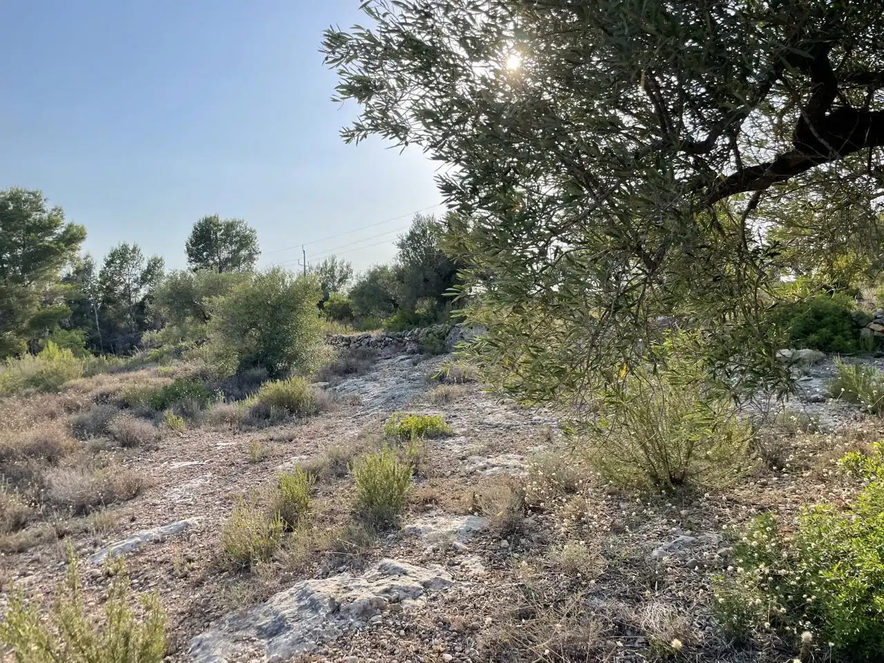 Terreno rustico in vendita a Partida Estany Tort, imagen 5