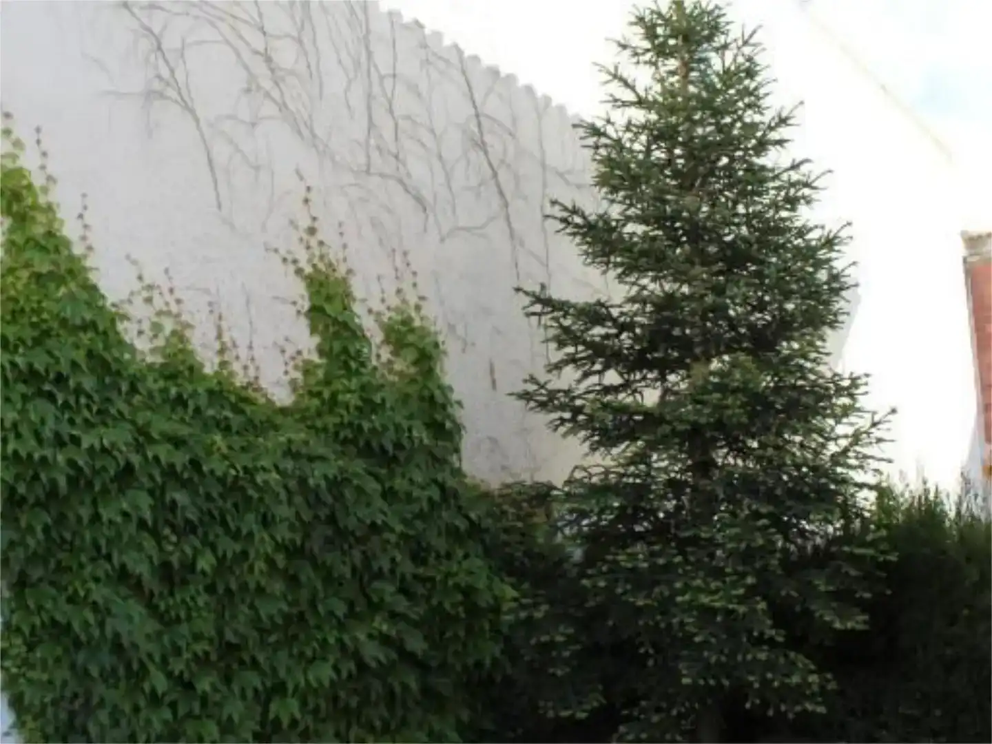 Vista exterior de Casa o chalet en venta en Campillo de Arenas con Jardín privado, Trastero y Balcón