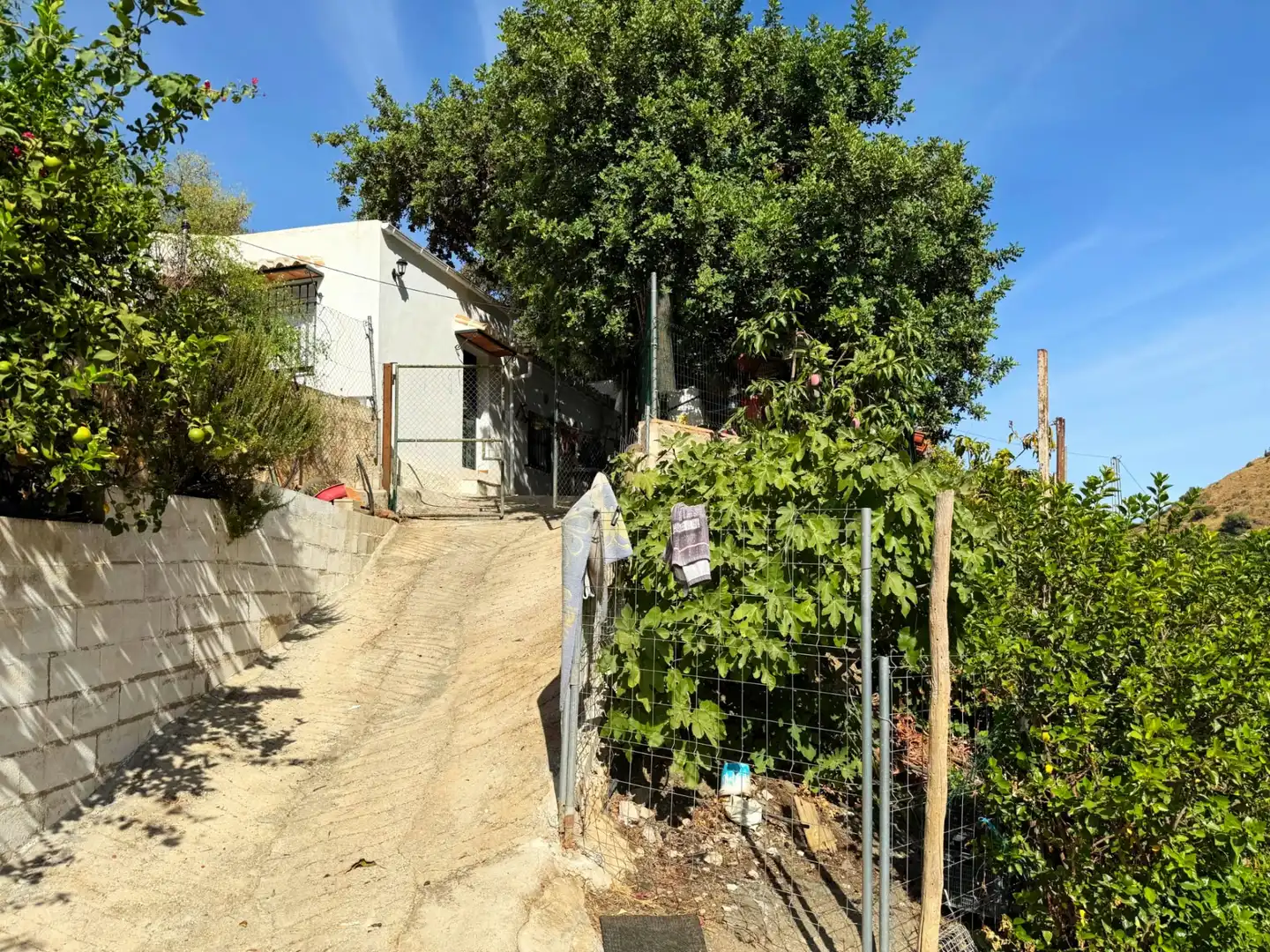 Casa rústica amb piscina en venda a Benamargosa, imagen 29
