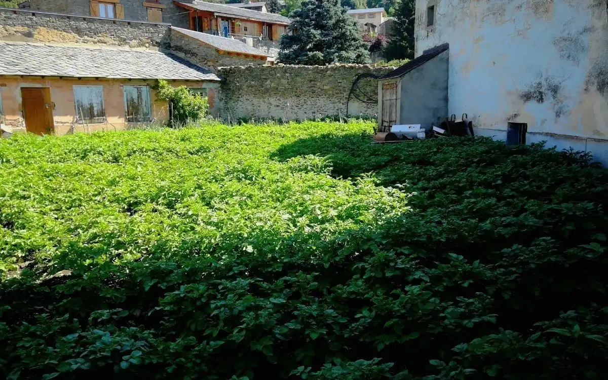 Maison rustique à vendre à Ger, imagen 8