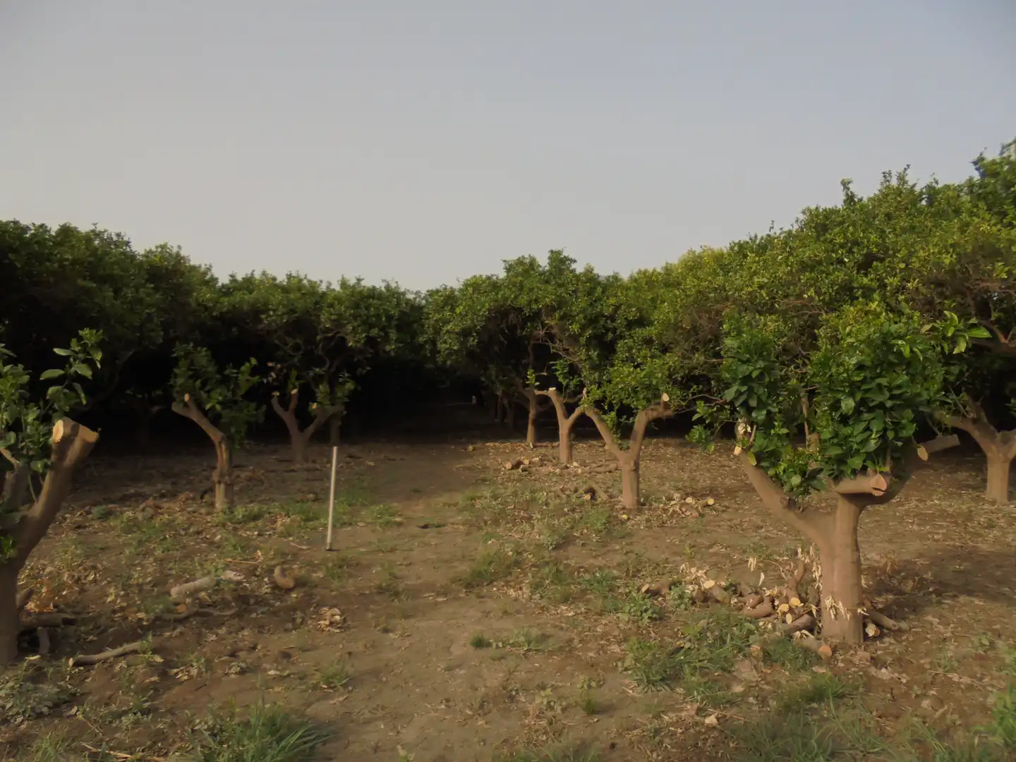 Terreno en venta en Rioja