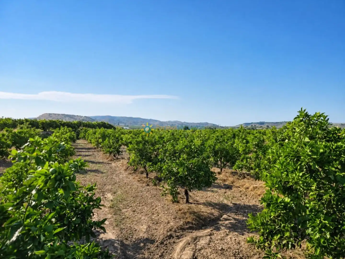 Vista exterior de Finca rústica en venda en Cotes amb Jardí privat, Terrassa i Piscina
