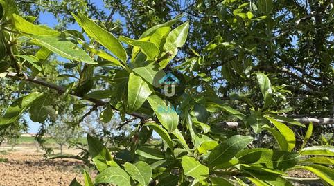 Foto 2 von Grundstücke zum Verkauf in Herreruela de Oropesa, Toledo