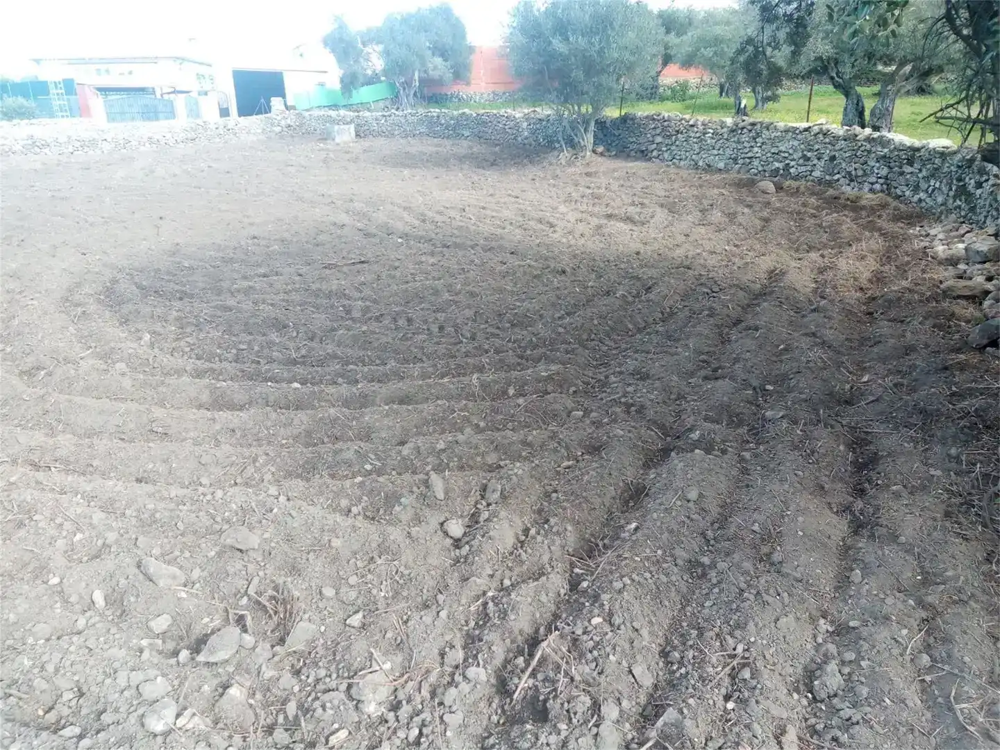 Residencial en venta en Oliva de Plasencia