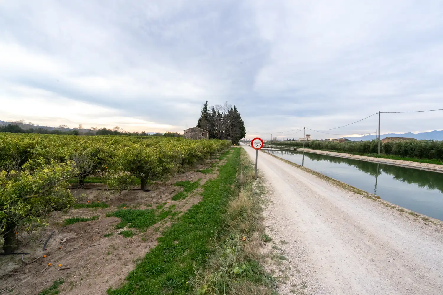 Terrain rustique à vendre à Partida Sant Bernabe 466, imagen 18