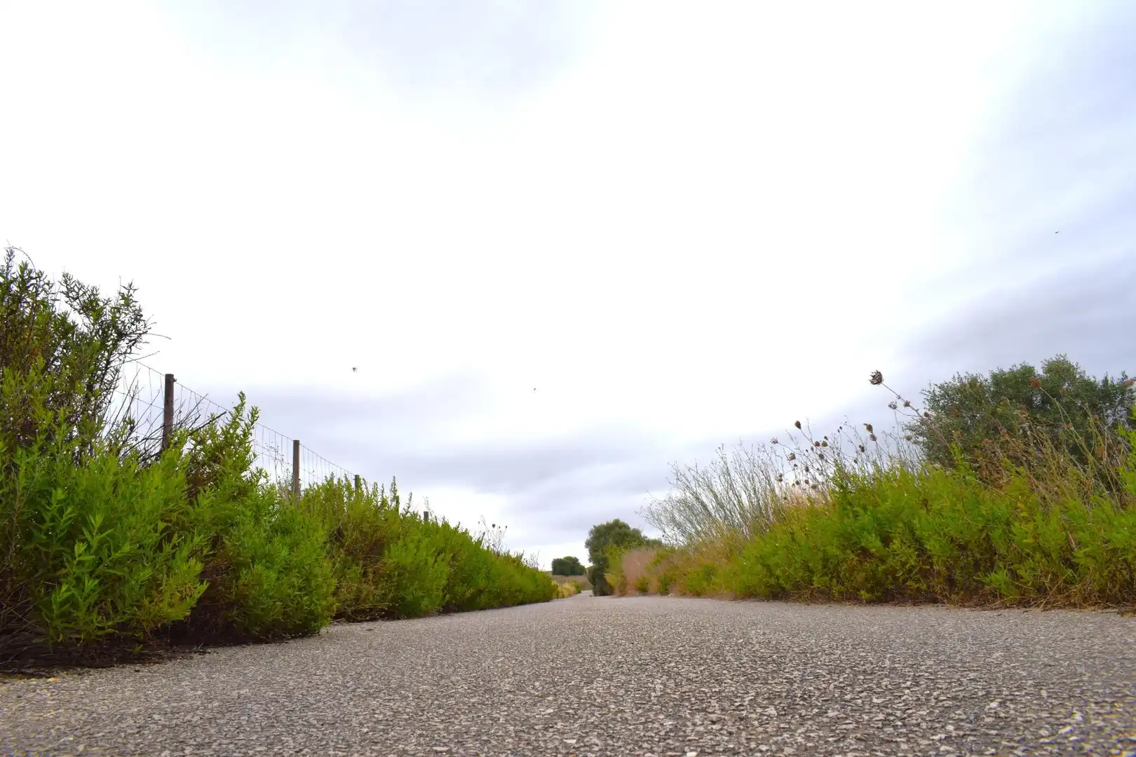Residential land for sale in Santa Margalida Poble, imagen 27