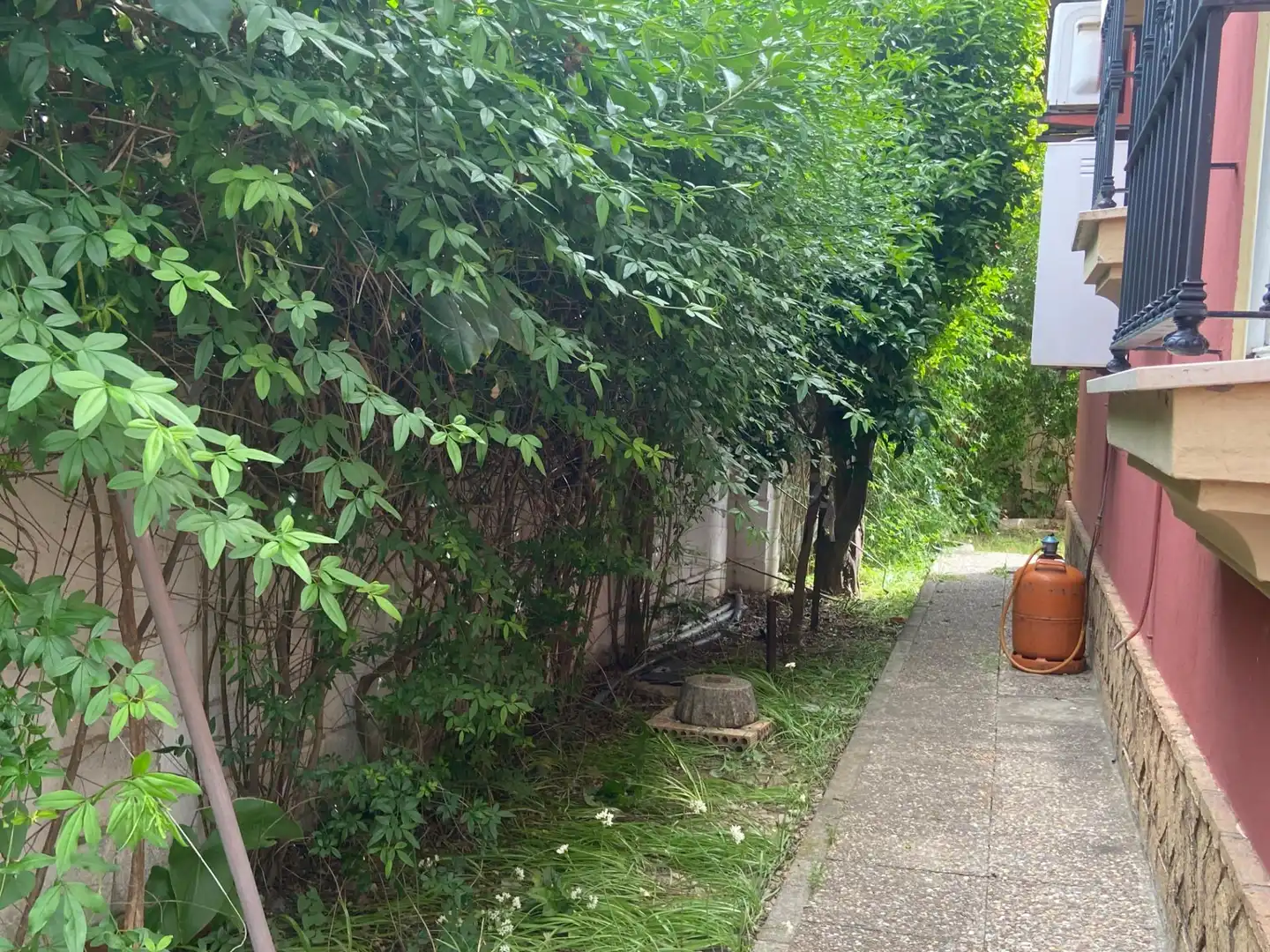 Vista exterior de Finca rústica en venda en El Puerto de Santa María amb Jardí privat, Terrassa i Traster