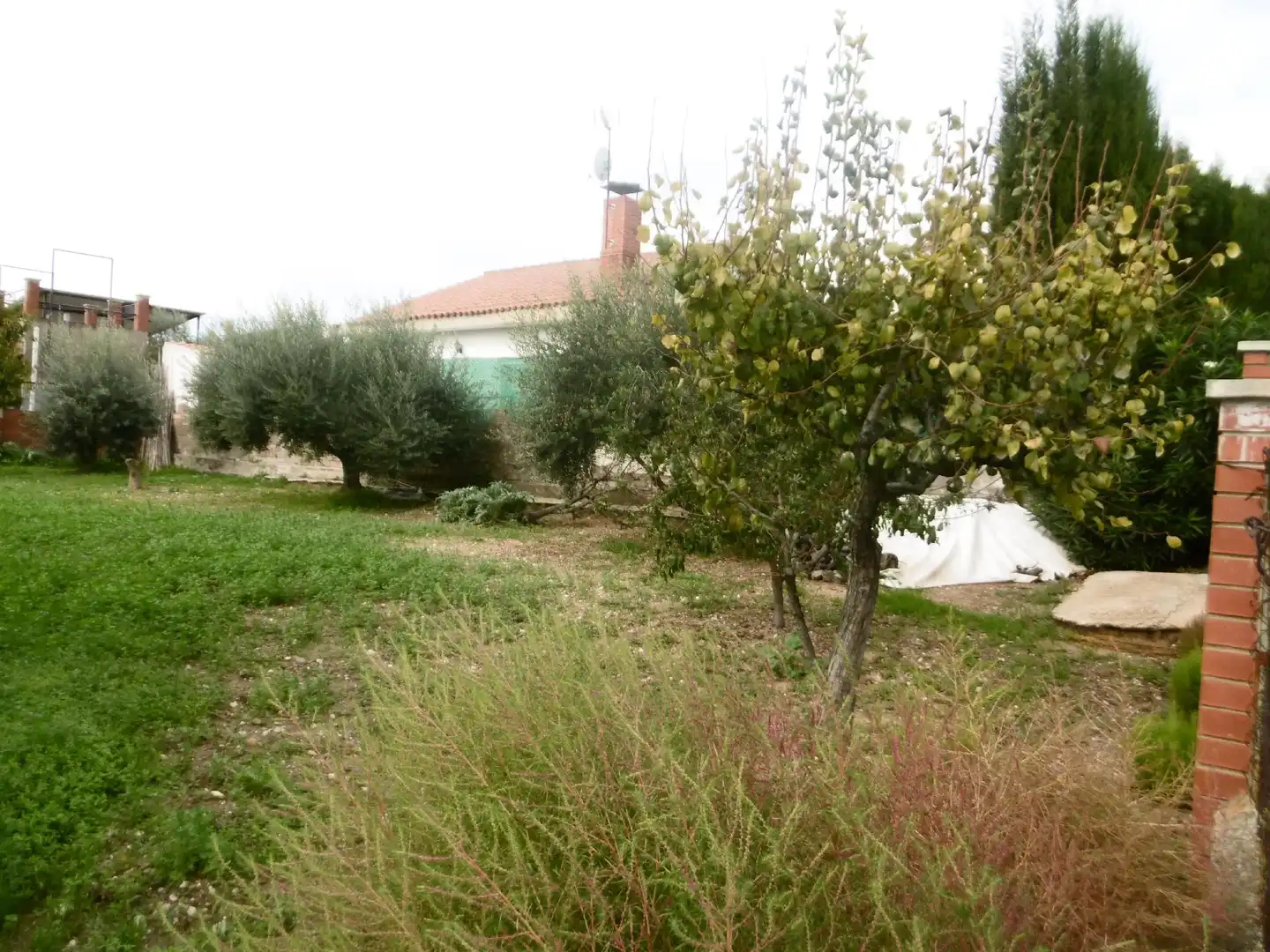 Terreno rustico in vendita a Piera, imagen 4
