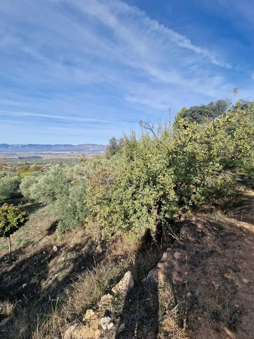 Maison rustique avec jardin à vendre à Cogollos de la Vega, imagen 66