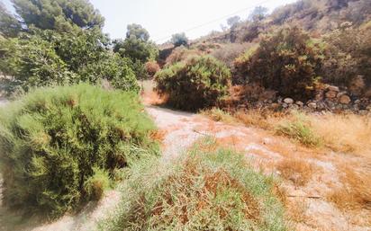 Casa o xalet en venda en Berja amb Jardí privat