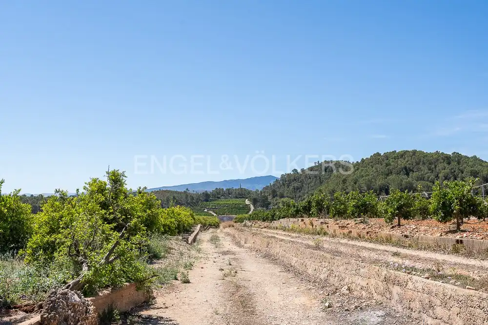 Terrenys i solars en venda a Palma de Gandia, imagen 26