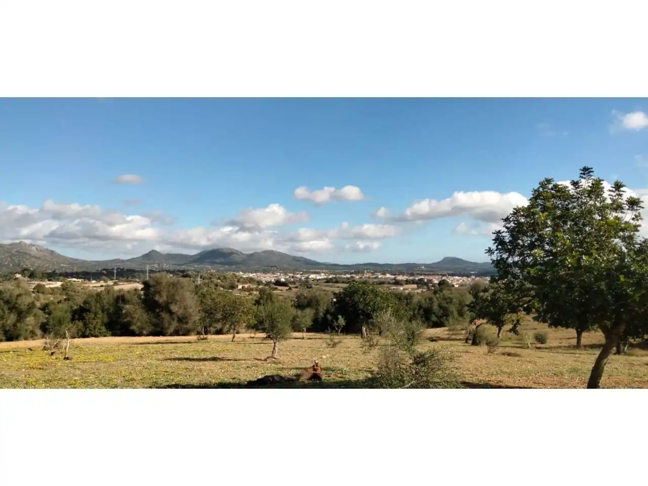 Rural land for sale in Poligono 5 723, imagen 49