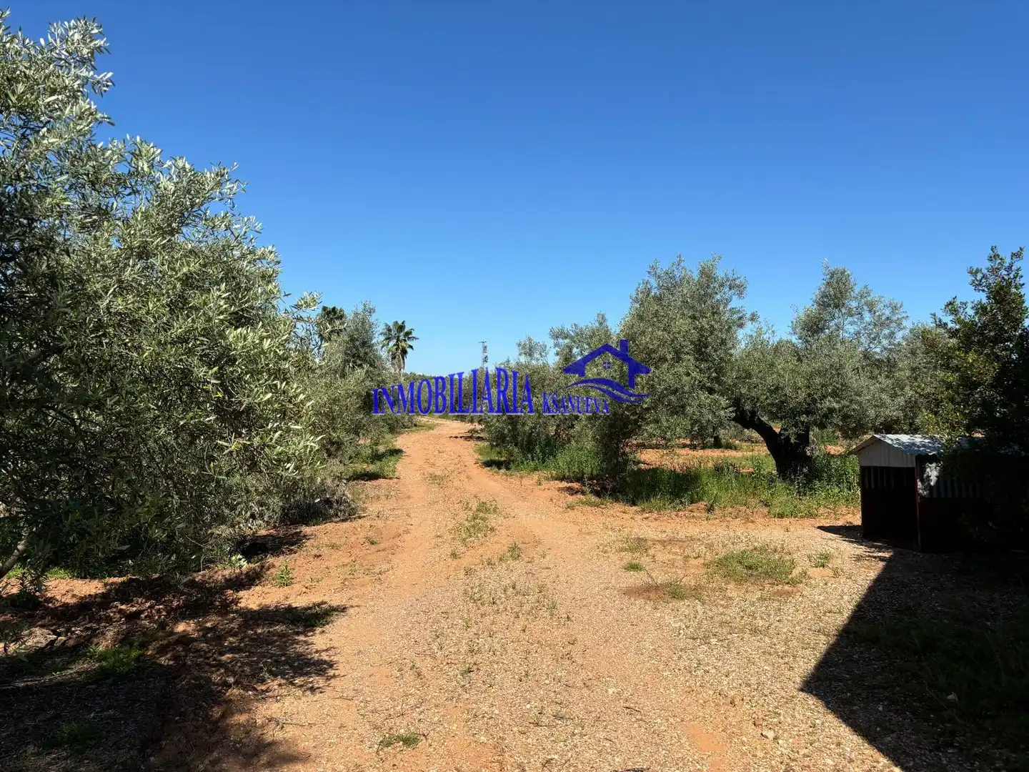 Casa rústica en venta en Montoro, imagen 32