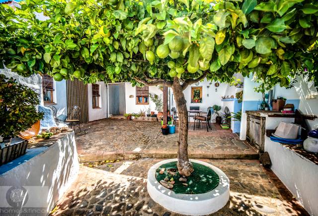 Casa adosada en Venta en Plaza de España en San Silvestre de Guzmán