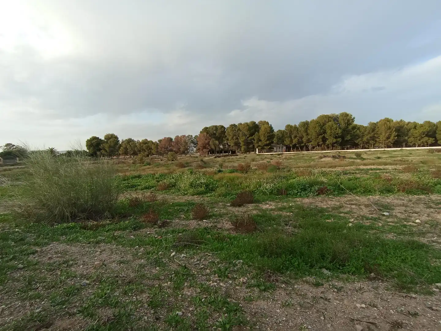 Terreny rústic en venda a Puerto Lumbreras, imagen 13