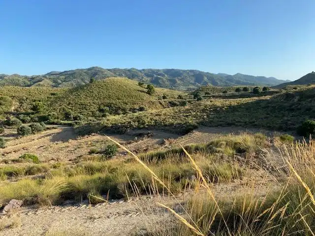 Terreni e lotti in vendita a Avenida Polígono 76 Paraje  LOS LOPE, imagen 2
