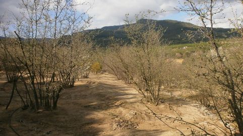 Foto 5 von Grundstücke zum Verkauf in Vilaplana, Tarragona