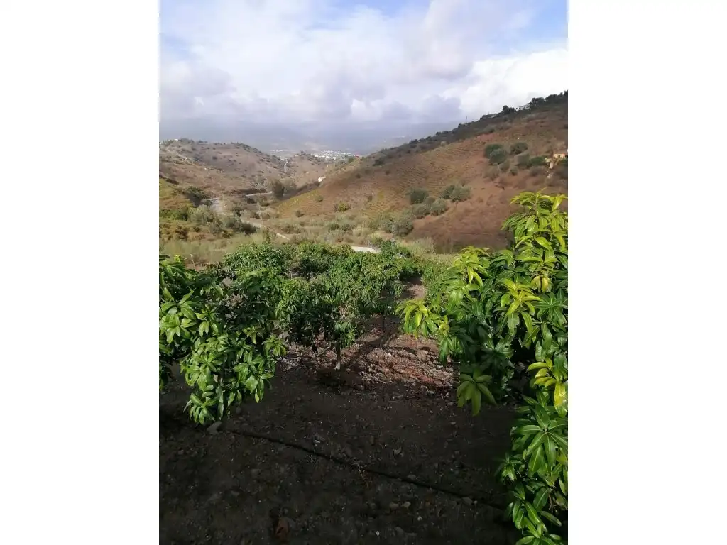 Casa en venta en Viñuela, imagen 16