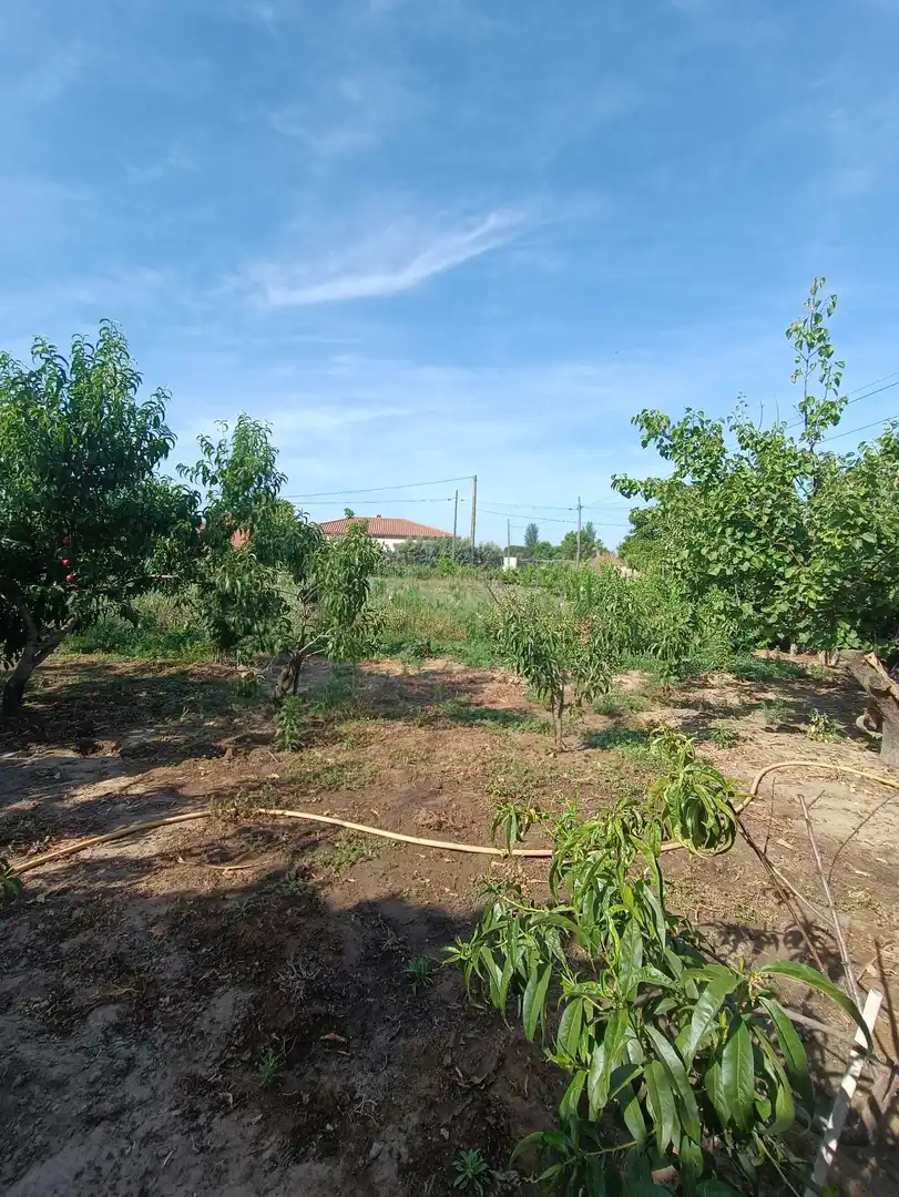Xalet amb jardí en venda a Don Benito, imagen 11