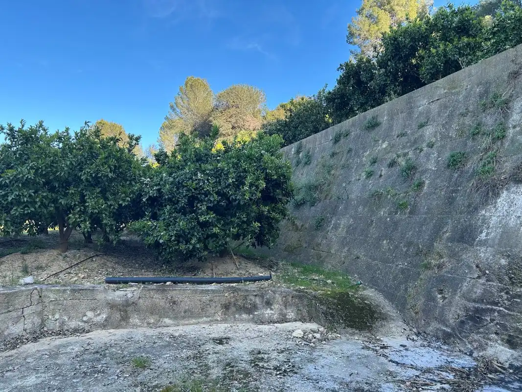 Finca rústica en venda en Oliva amb Moblat