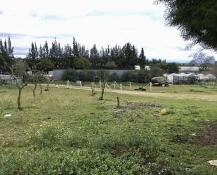 Finca rústica en venda en Almonte amb Aire condicionat, Traster i Piscina