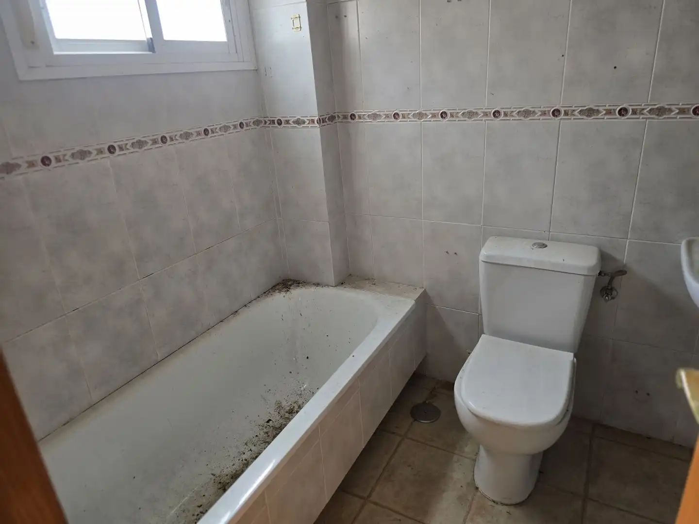 Bany de Casa o xalet en venda en Campo Real amb Jardí privat, Terrassa i Traster