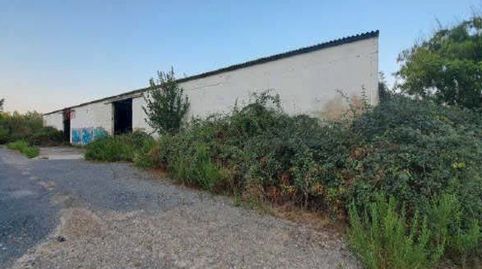 Photo 5 of Residential for sale in Las Contiendas, -1, Azucarera, Tudela