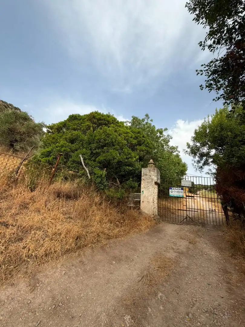 Rural land for sale in Morón de la Frontera, imagen 4