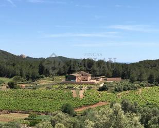 Finca rústica en venda en Sant Pere de Ribes amb Terrassa