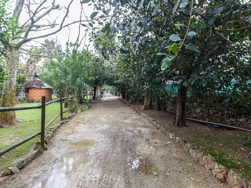 Vista exterior de Finca rústica en venta en Maó - Mahón con Aire acondicionado, Jardín privado y Terraza