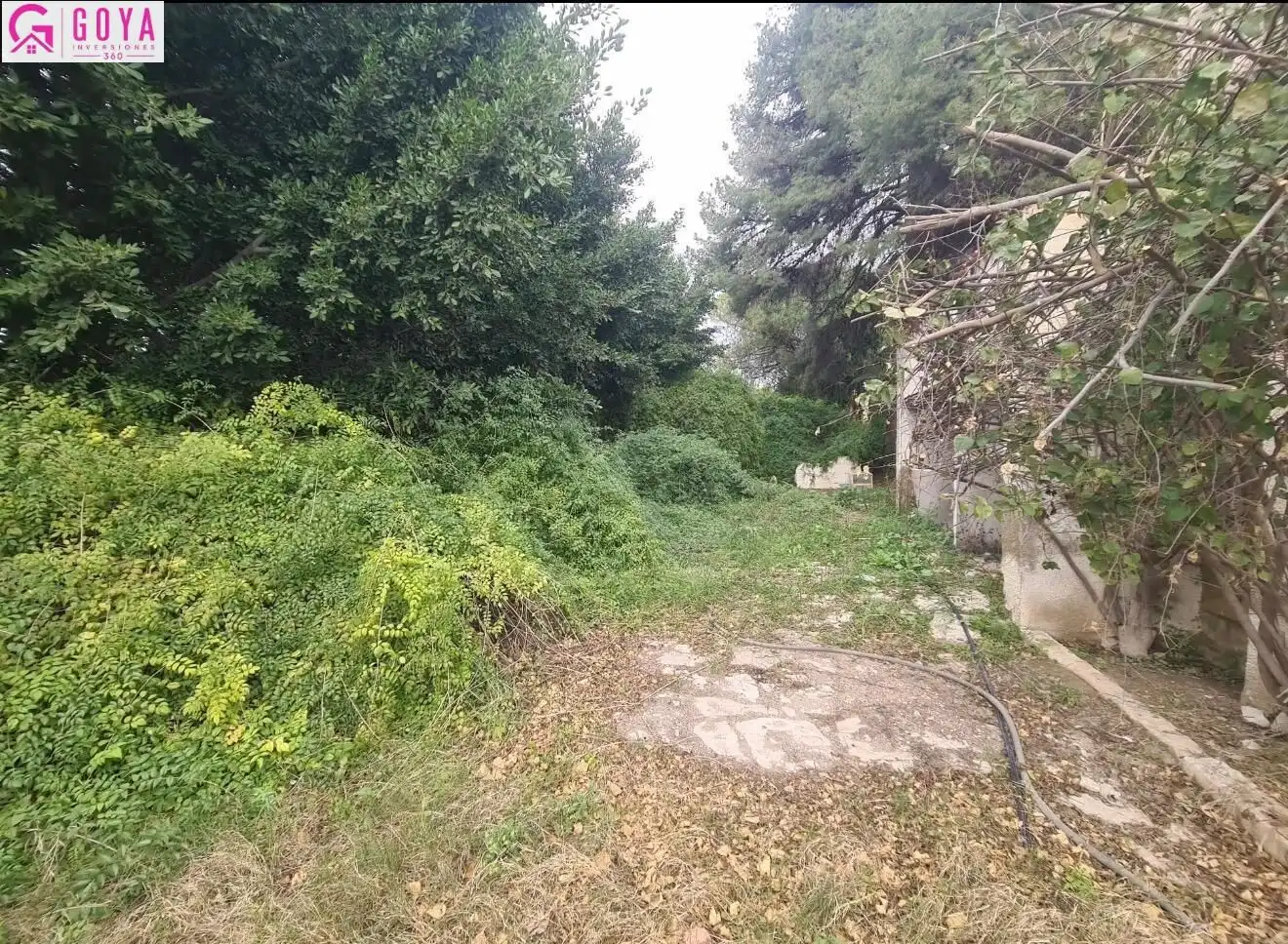 Finca rústica en venda en Alicante / Alacant amb Jardí privat i Piscina