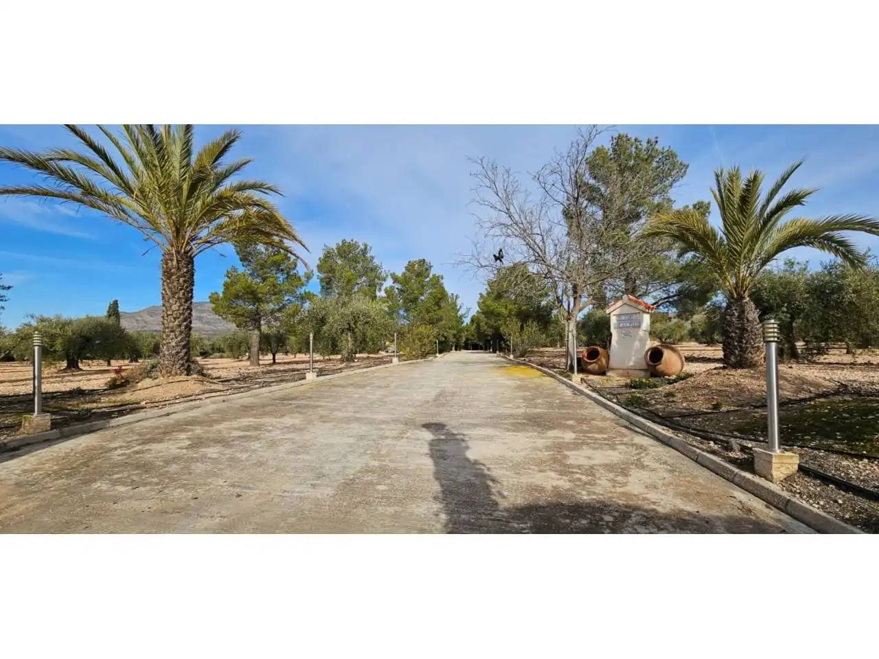 Chalet con piscina en venta en Jumilla, imagen 17