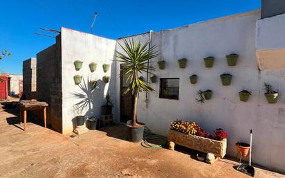 Garden of House or chalet for sale in Vila-real  with Terrace