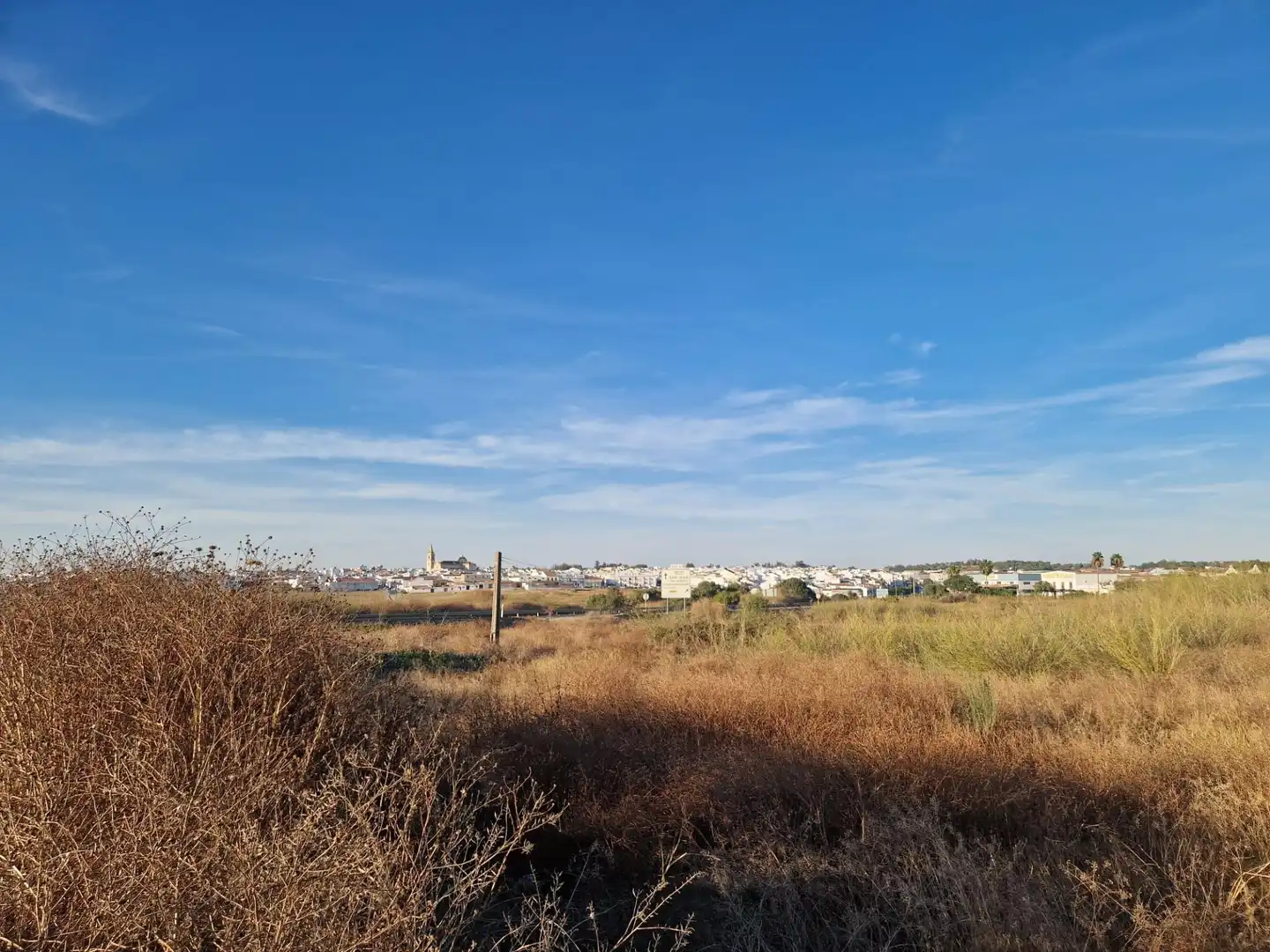 Rural land for sale in Moguer, imagen 4