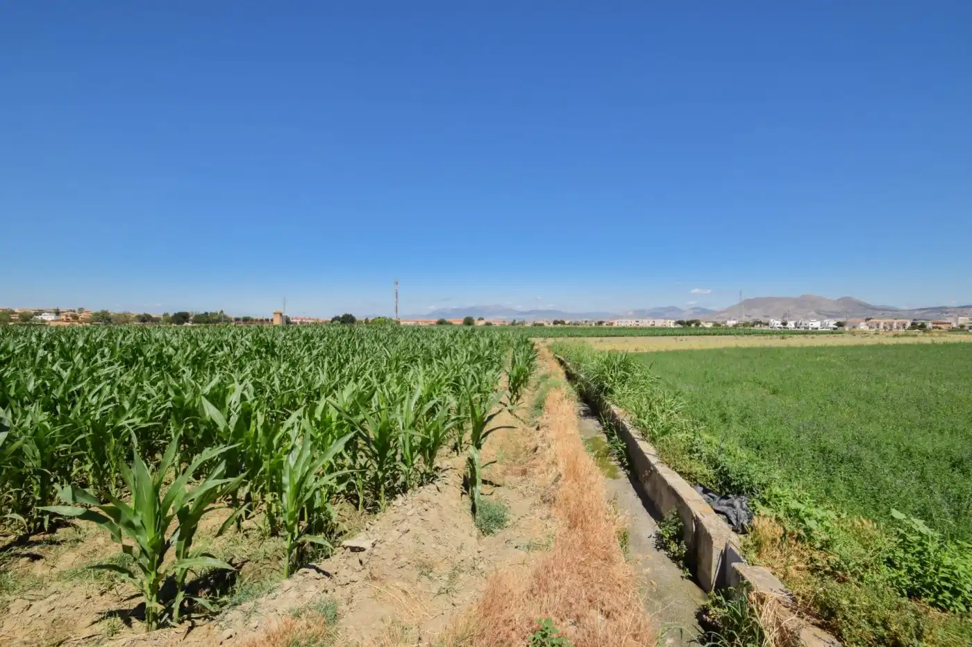Finca rústica en venta en Cúllar Vega