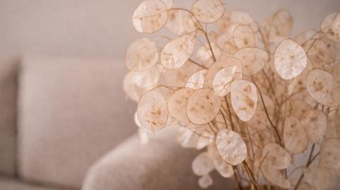 Photo 4 of Houses for sale in Cami del Pouet, Centro, Benitachell / El Poble Nou de Benitatxell