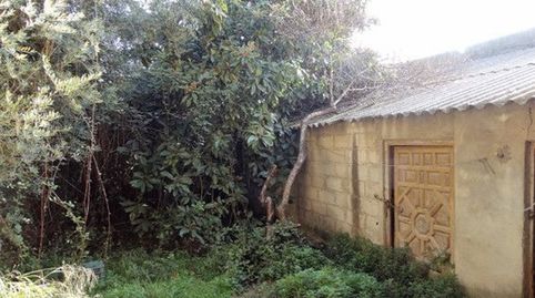Naves y parcela en huerta de Moratalla, imagen 4