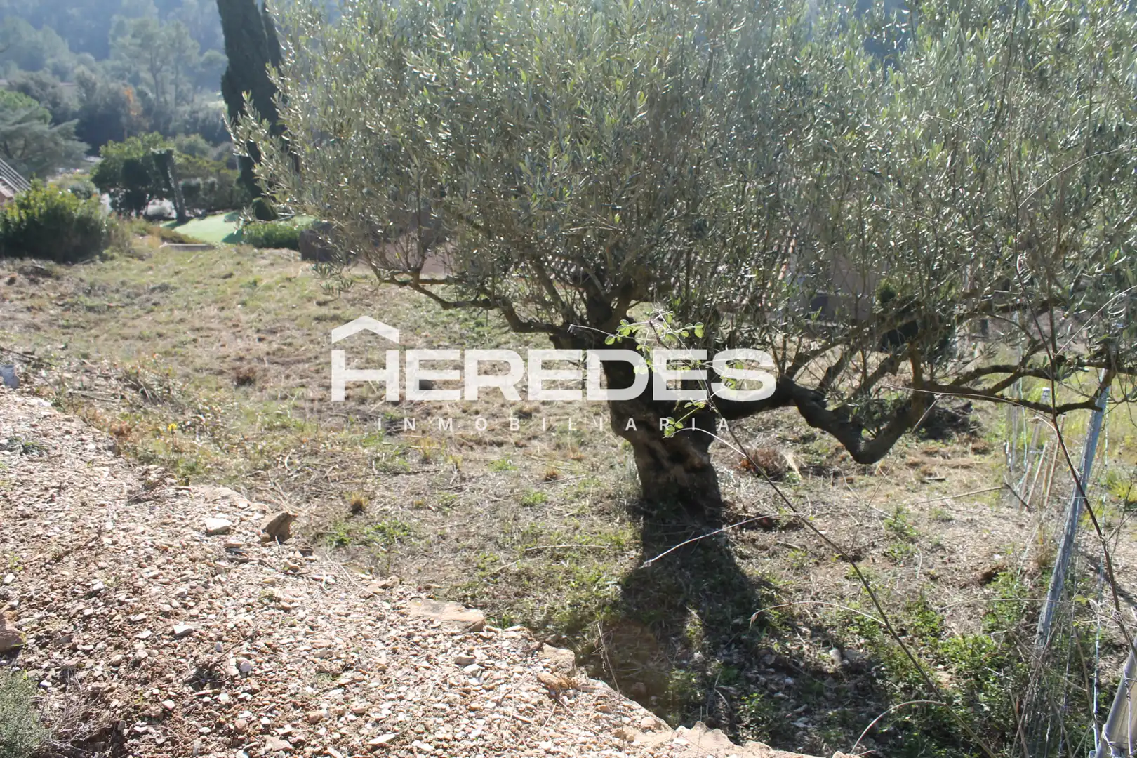Terrain rustique à vendre à Carrer del Raval Mas 4, imagen 15