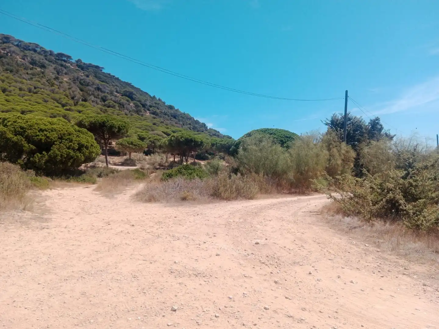 Rustikales Grundstück zum Verkauf in Las Lagunas - Campano, imagen 8