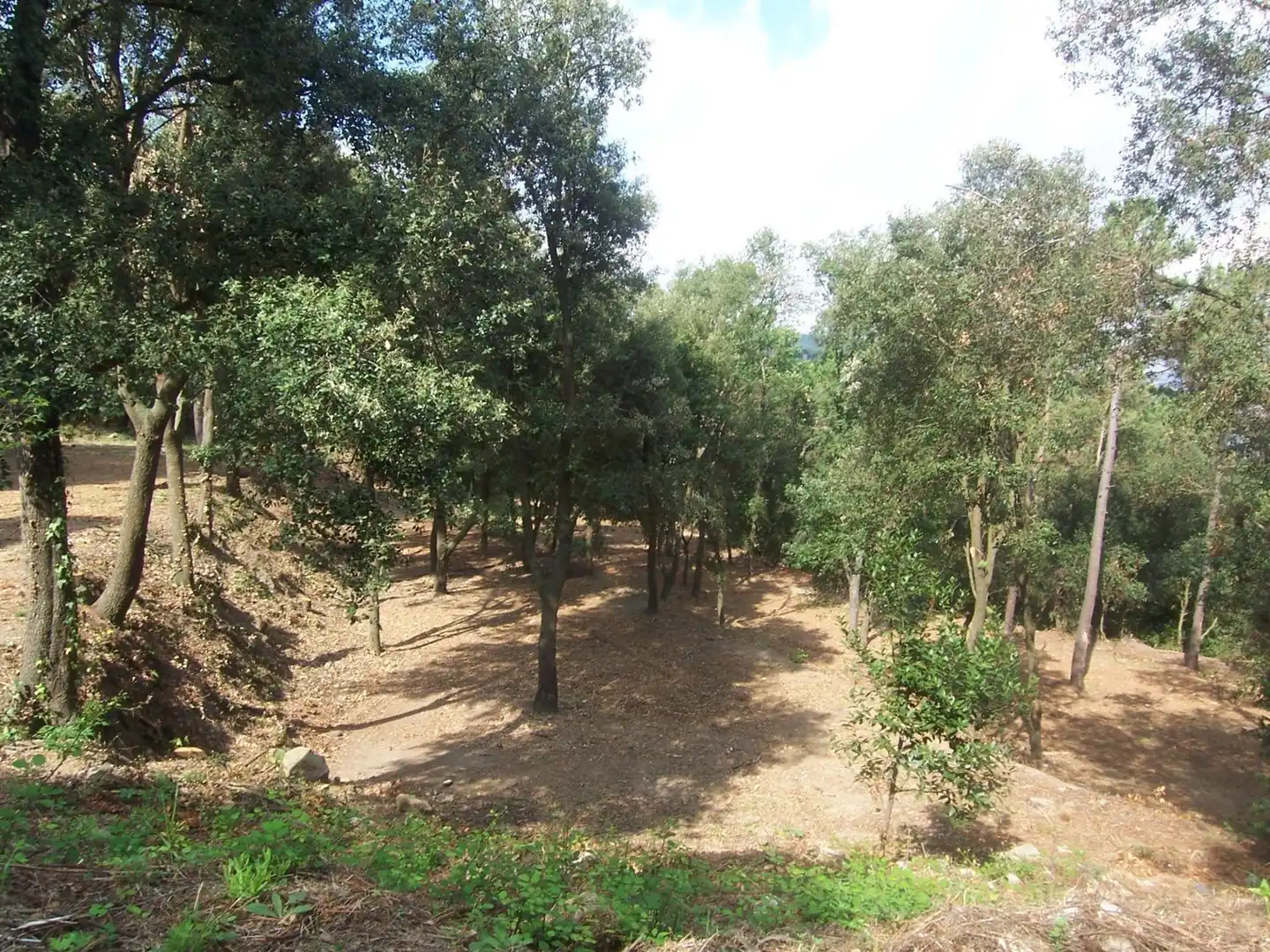 Terreno residencial en venta en Sant Fost de Campsentelles, imagen 8