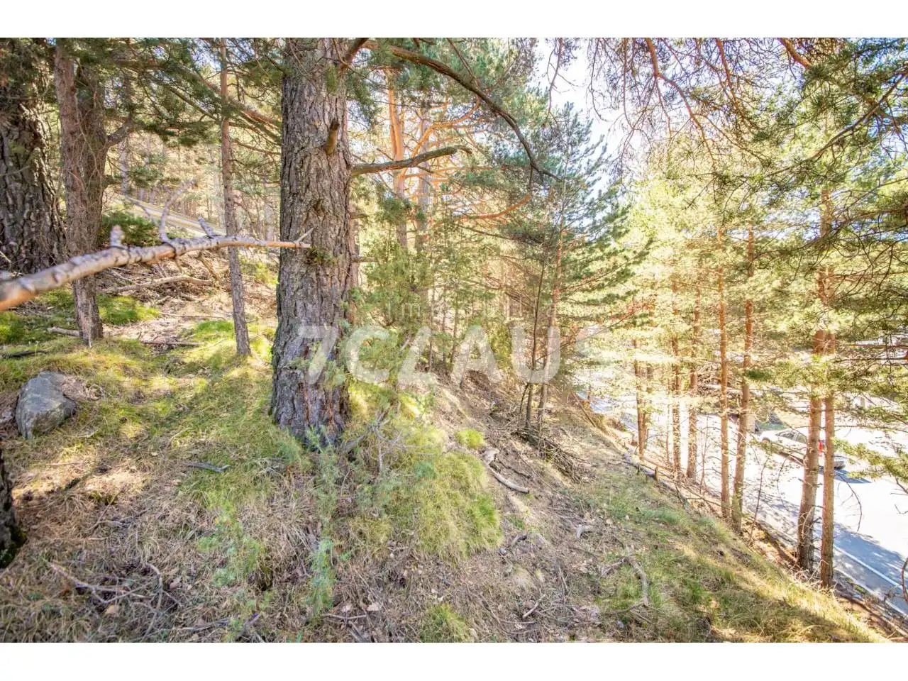 Rural land for sale in Calle d´Anyós, imagen 7