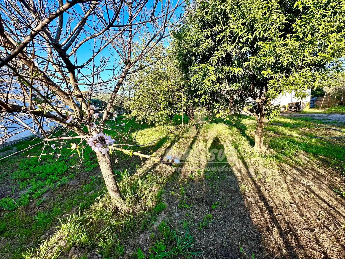 Casa en venta en Periurbano Oeste - Sierra, imagen 7