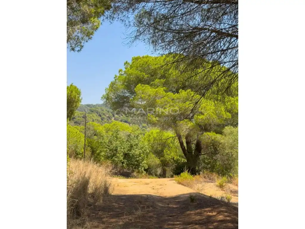 Finca rústica en venda en Tordera amb Jardí privat i Terrassa