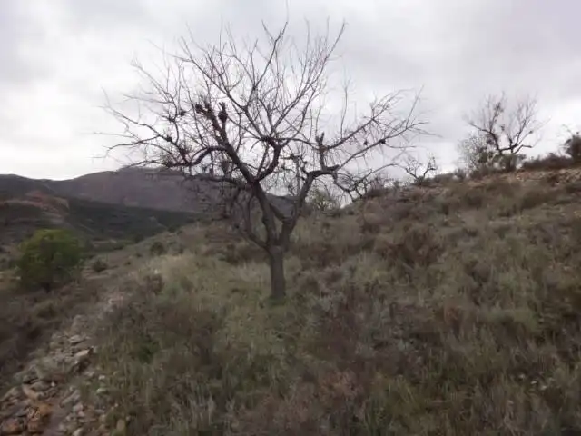 Terrenys i solars en venda a Paraje Vallota, imagen 12