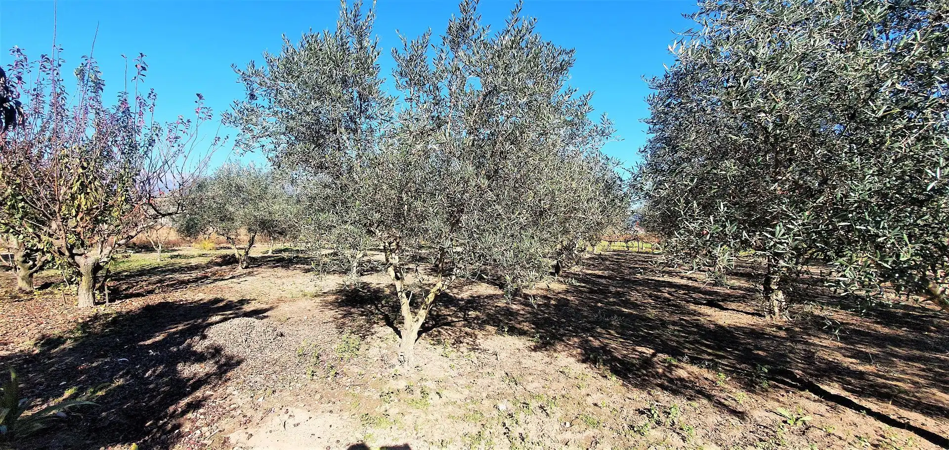 Terreni e lotti in vendita a Losar de la Vera, imagen 11