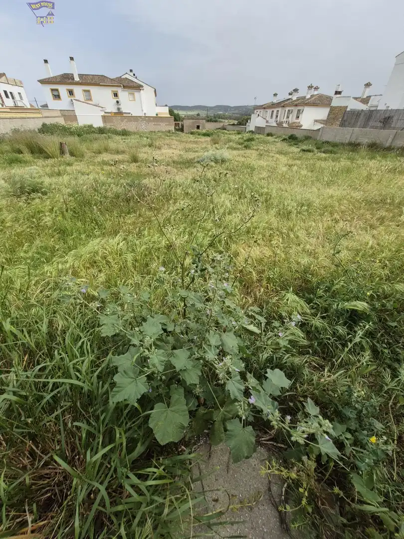 Terrenys i solars en venda a Arcos de la Frontera, imagen 2