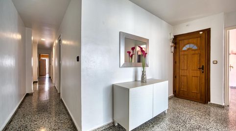 Foto 3 de Piso en venta en Orihuela ciudad, Orihuela