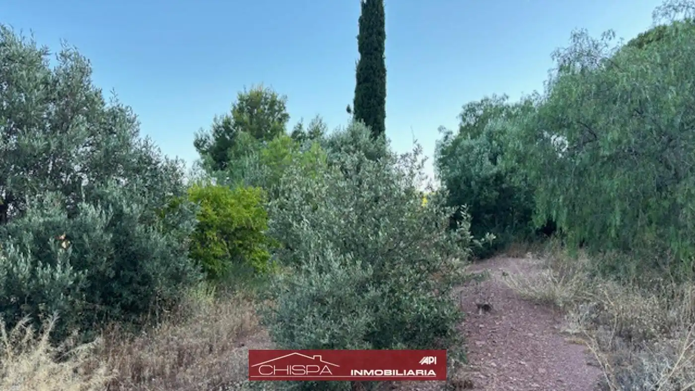Wohnbaugrundstück zum Verkauf in San Miguel - El Paraiso, imagen 2